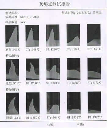 微機(jī)灰熔點(diǎn)測(cè)定儀打印